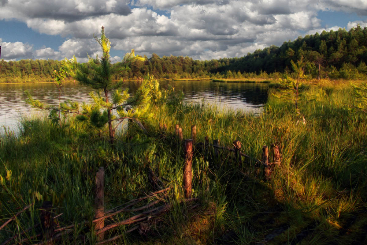 photo "***" tags: landscape, nature, summer