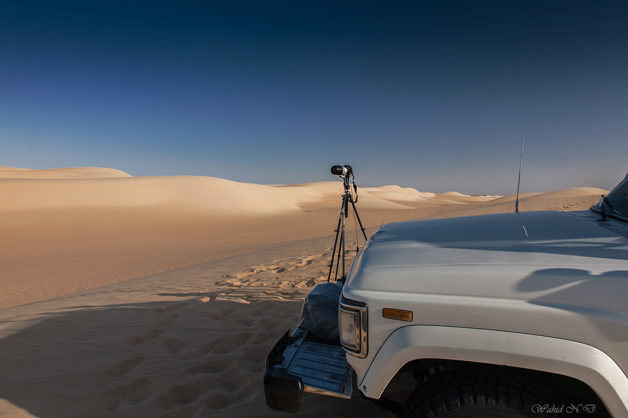 photo "Surveying" tags: landscape, travel, nature, Africa, Sand, desert