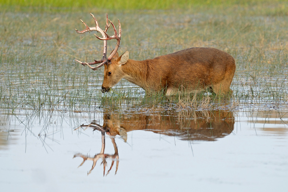 фото "Mirror" метки: природа, путешествия, 