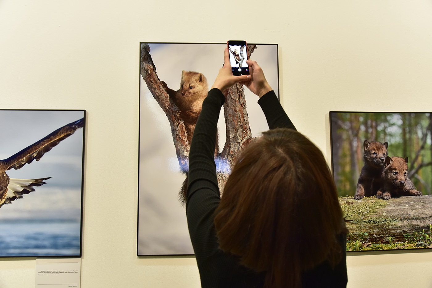 фото "Сюжет подсмотренный на фотовыставке" метки: жанр, Москва, выставка