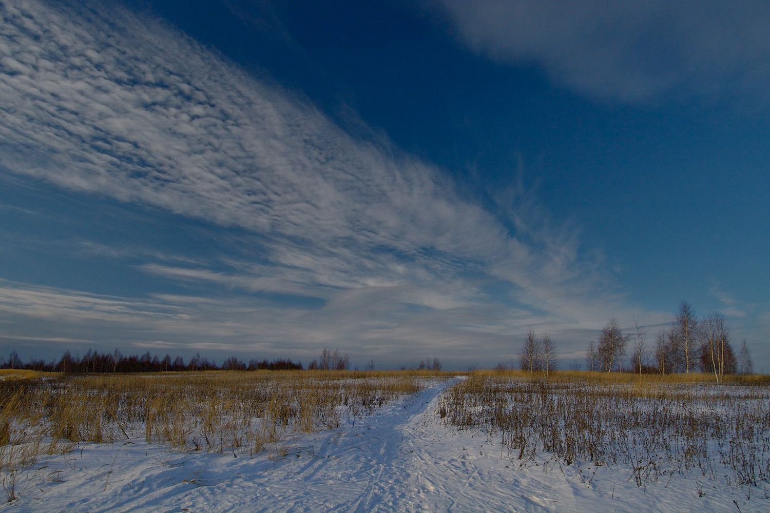 photo "***" tags: landscape, field, forest, sky, winter