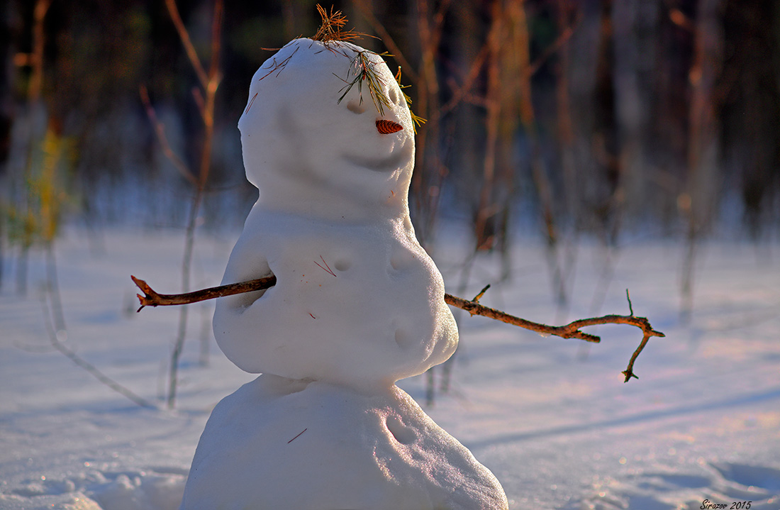 photo "Last snow man" tags: genre, 