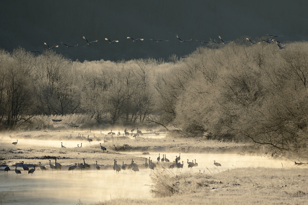 photo "***" tags: landscape, nature, travel, 