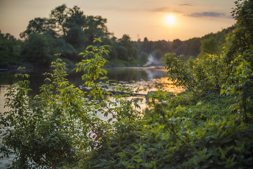 photo "***" tags: , pond, river, summer, sunset, water, Григорчиково, Пахра