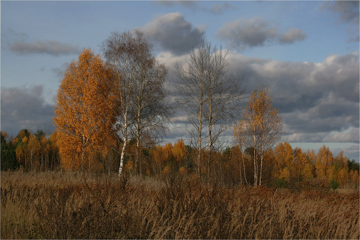 photo "Just autumn" tags: landscape, 