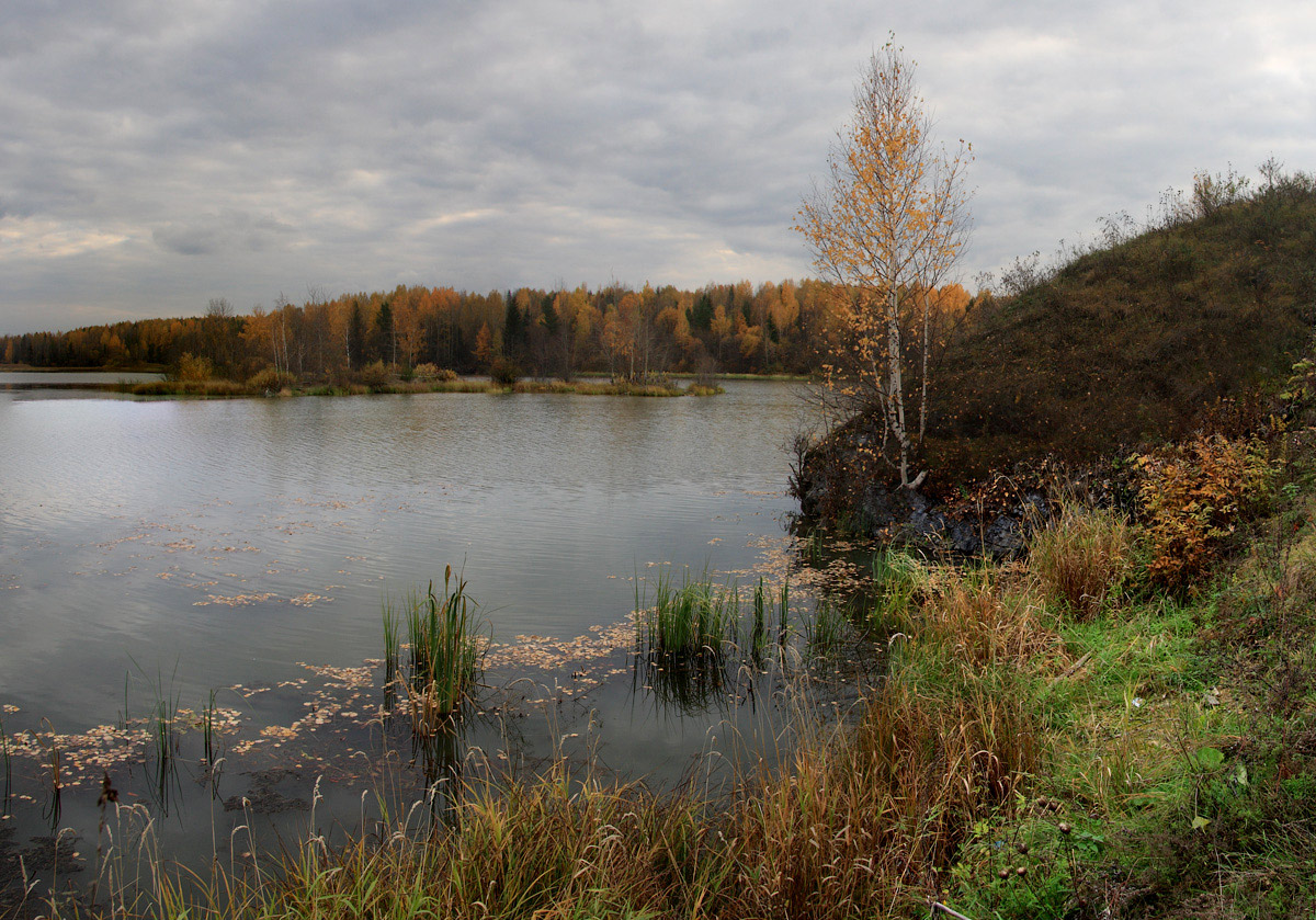 фото "Берёзка" метки: пейзаж, природа, 