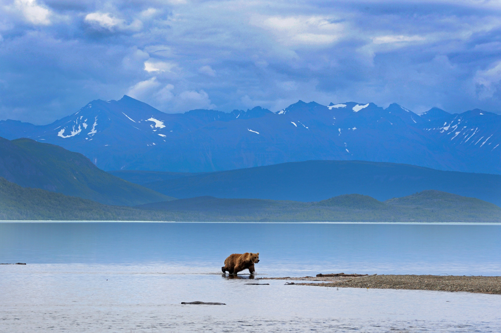 фото "Country of a bear" метки: путешествия, пейзаж, природа, 