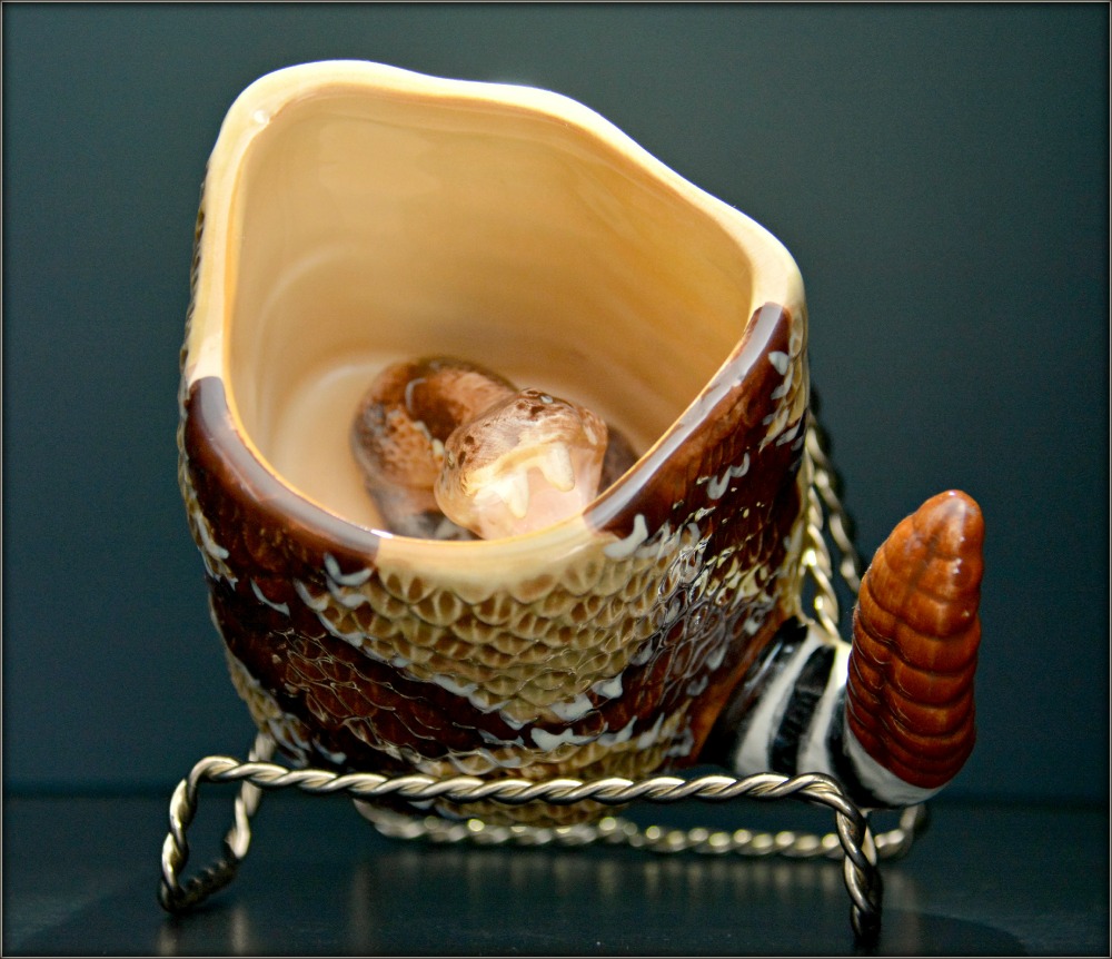 photo "bowl with a rattlesnake" tags: macro and close-up, misc., керамика