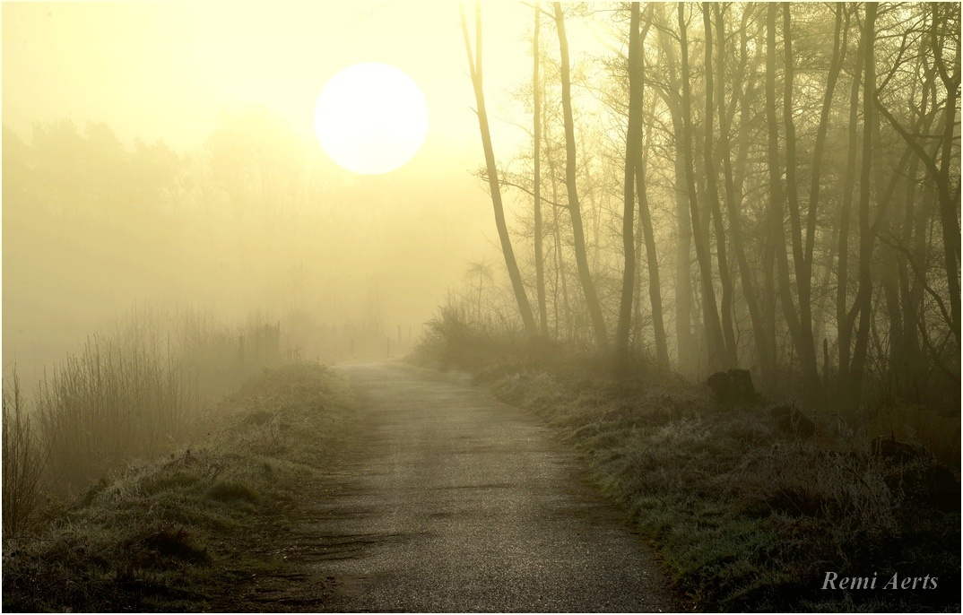 photo "***" tags: landscape, nature, 