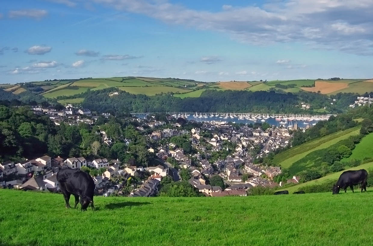 photo "***" tags: nature, Cornwall..., Англия