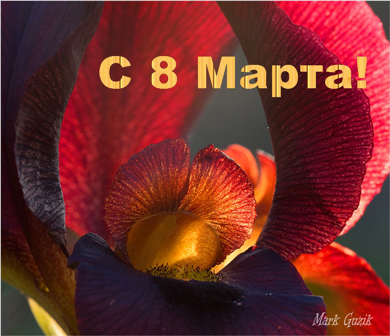 photo "***" tags: , Поздравляю наших любимых женщи, здоровья и любви вам!!!