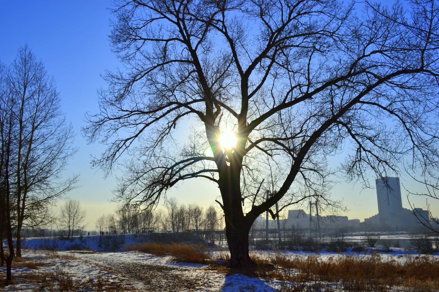 photo "***" tags: nature, landscape, природа, солнце.