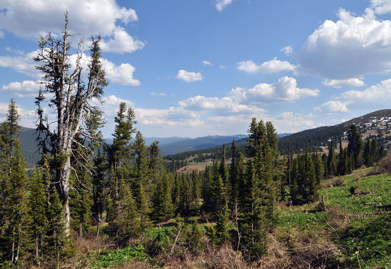 photo "***" tags: landscape, travel, nature, mountains, Хакасия, туризм