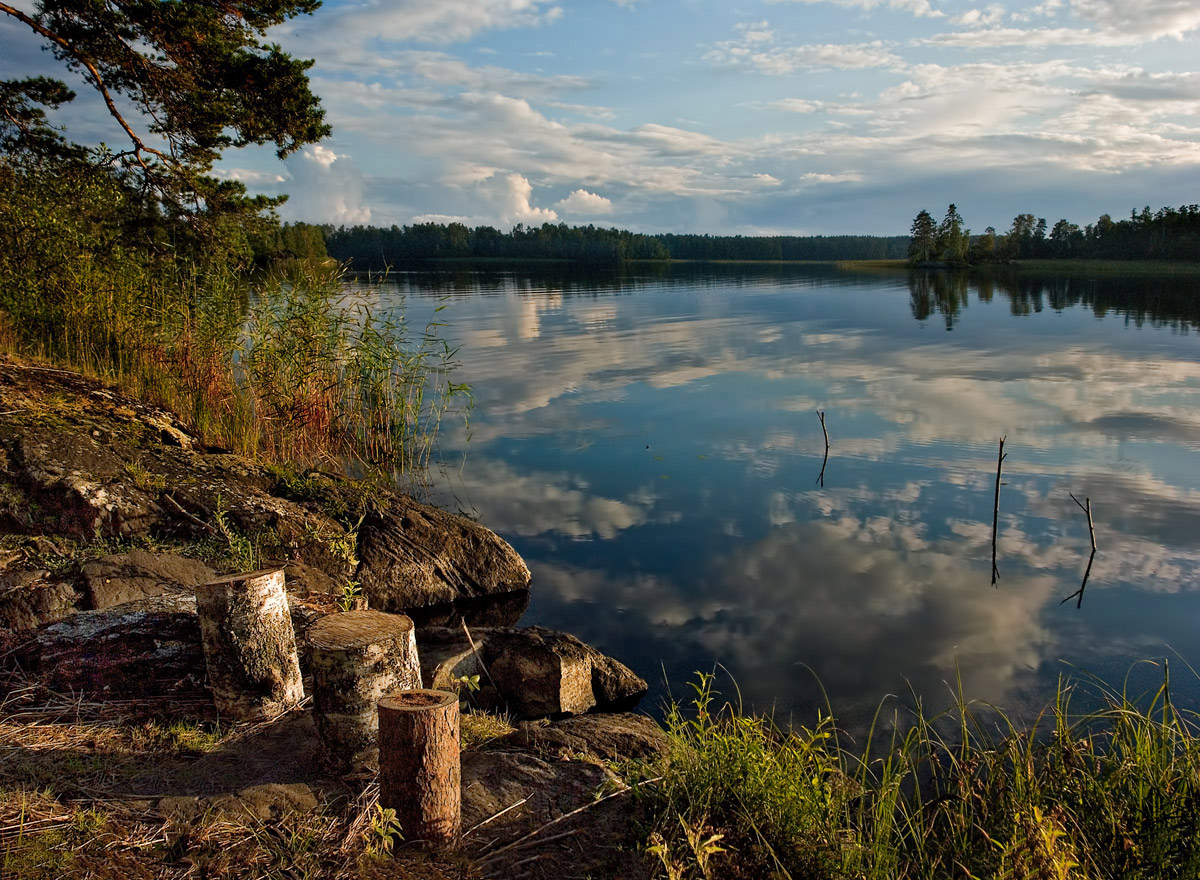 photo "Dialog" tags: landscape, evening, Приозерск