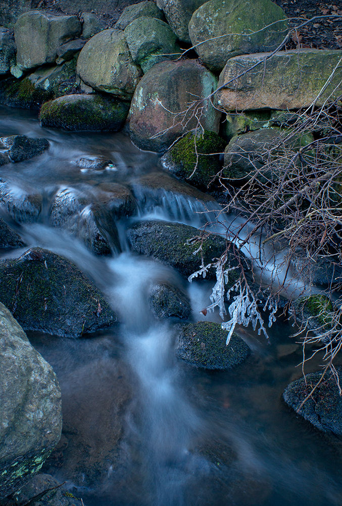 photo "Winter in Oliva" tags: landscape, 