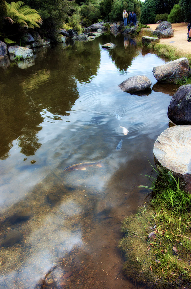 photo "In the park" tags: travel, landscape, Australia, forest