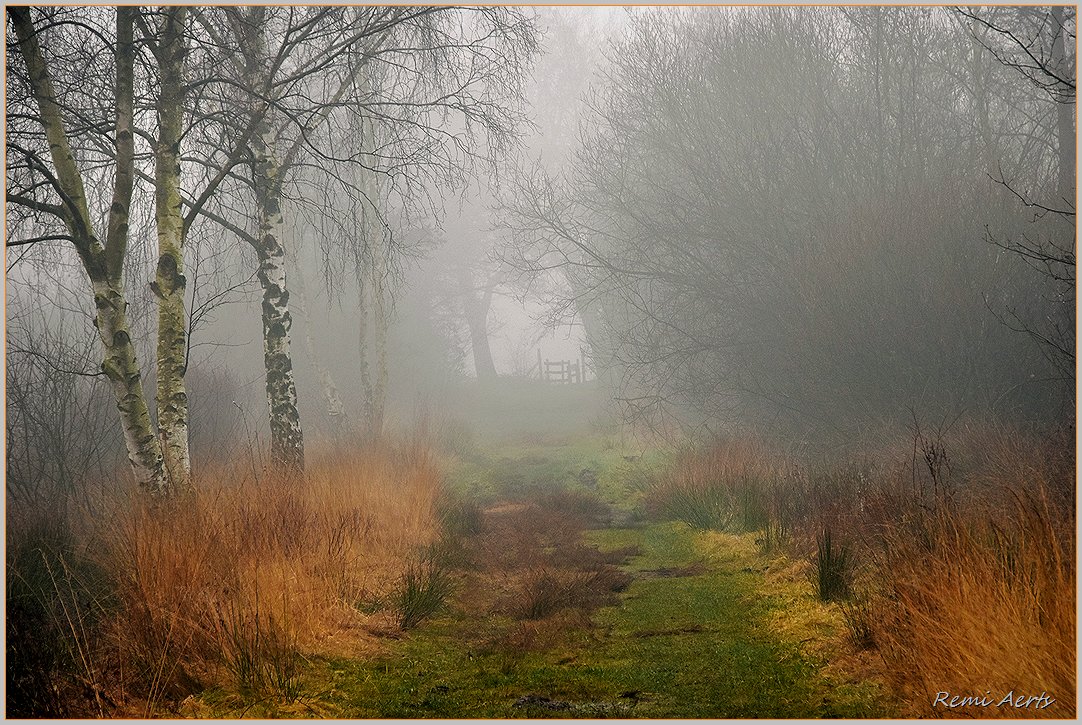 photo "***" tags: landscape, nature, 