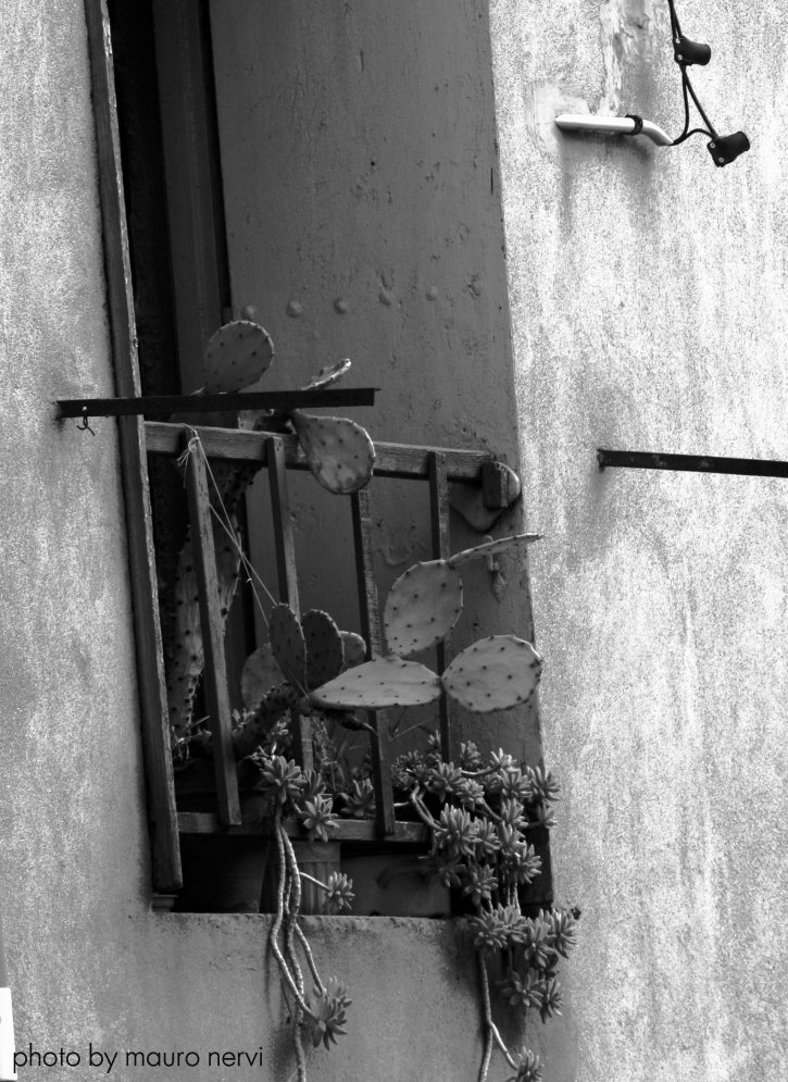 photo "window" tags: black&white, 