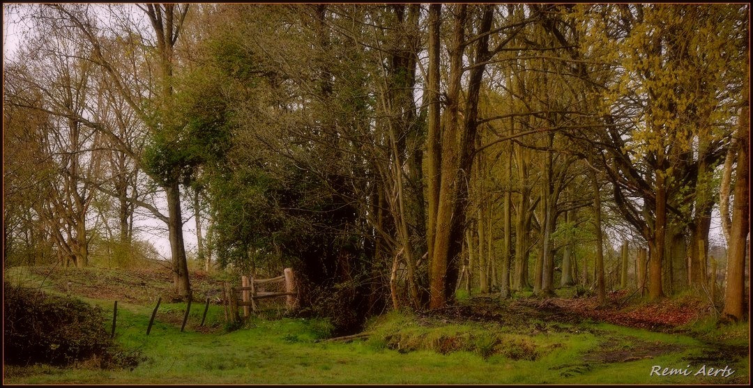 photo "***" tags: landscape, nature, 