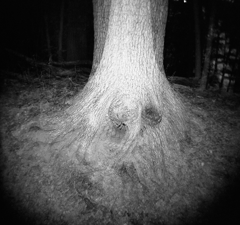 photo "breach" tags: landscape, nature, black&white, black and white, double exposure, holga, woods