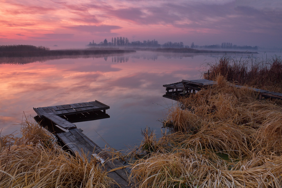 photo "***" tags: landscape, nature, autumn, fog, morning, sunrise, мостики, речка Тясмин