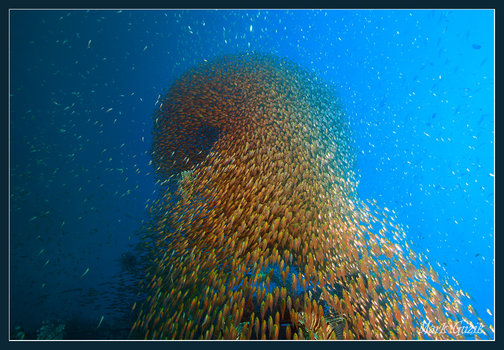 photo "Impact force" tags: underwater, 