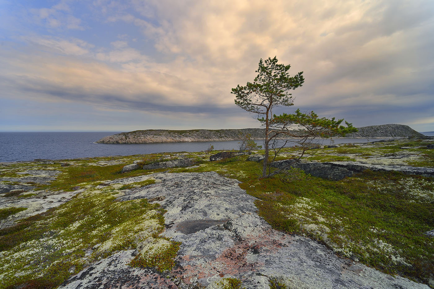 photo "***" tags: landscape, nature, travel, White Sea, island, summer, путешествие