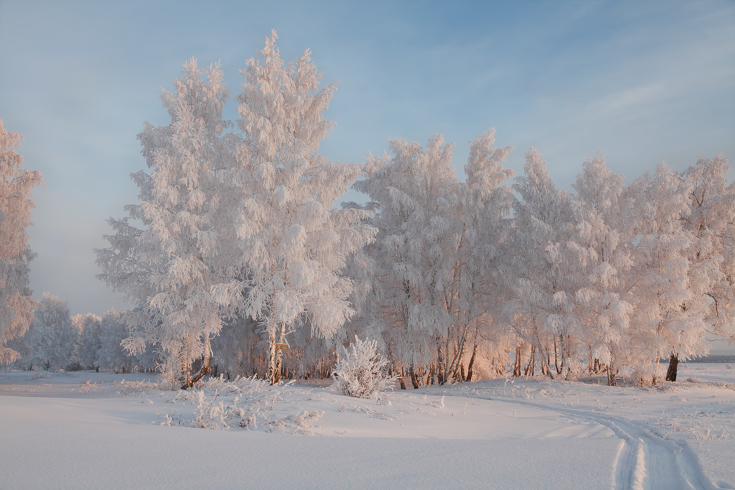 photo "***" tags: landscape, hoarfrost, родные просторы, январь