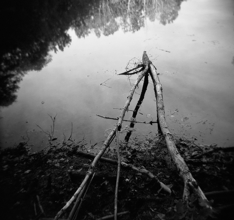 photo "pond" tags: landscape, black&white, nature, black and white, holga, pond