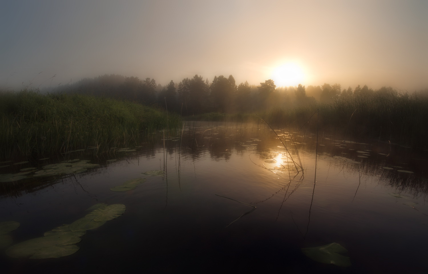 photo "***" tags: landscape, nature, 