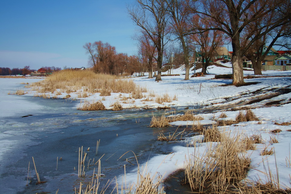 photo "***" tags: nature, 