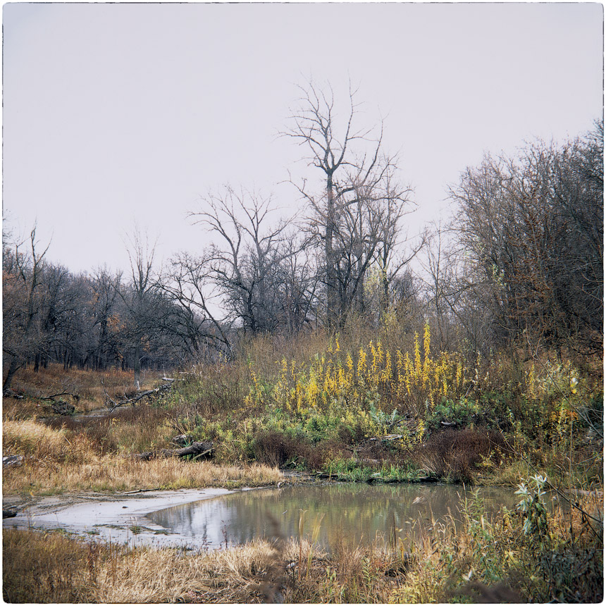 фото "***" метки: пейзаж, природа, 120, 6x6, FUJICHROME Provia 100 F, TLR, Yashica Mat Em