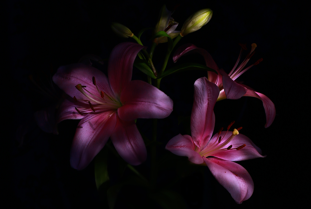 photo "***" tags: fragment, nature, misc., 
