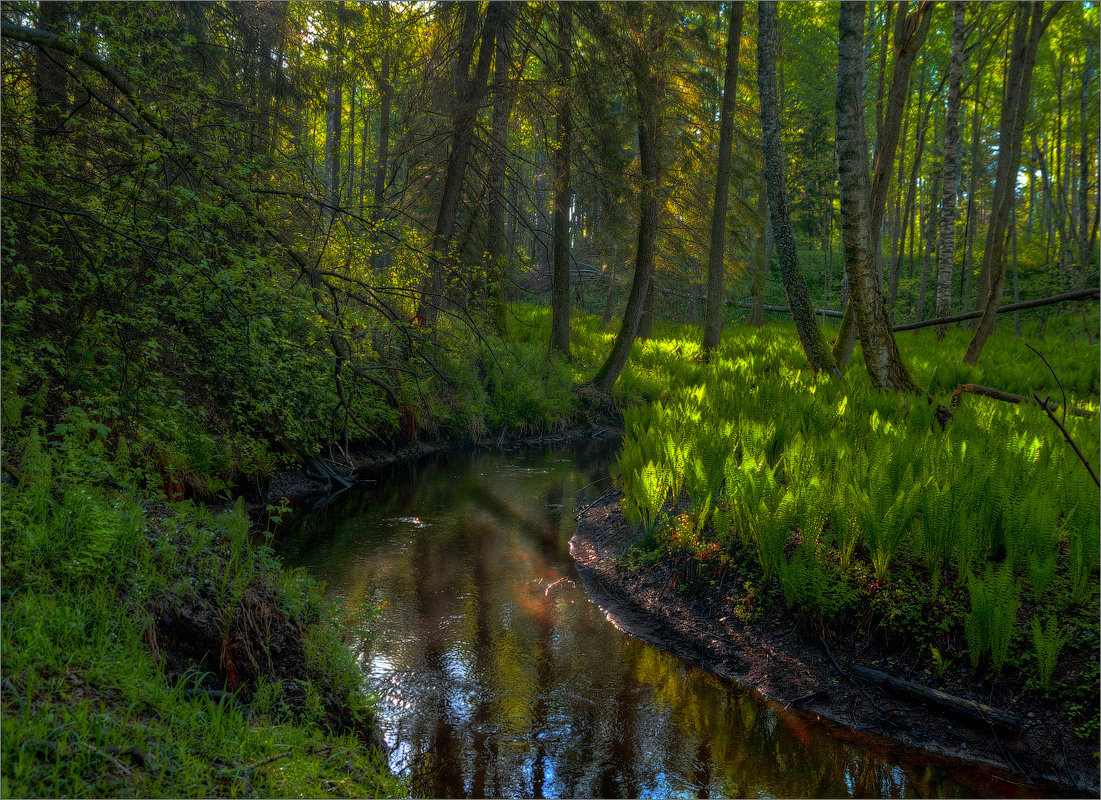 photo "***" tags: nature, 