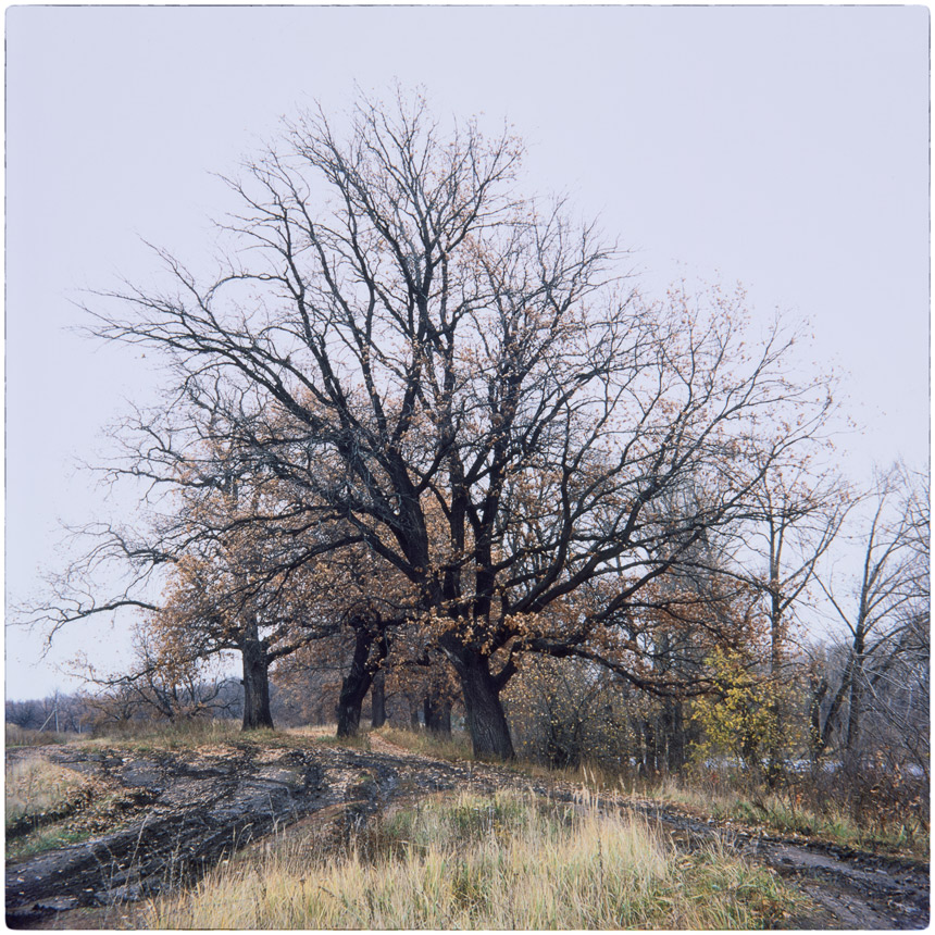 photo "***" tags: landscape, nature, 120, 6x6, FUJICHROME Provia 100 F, TLR, Yashica Mat Em