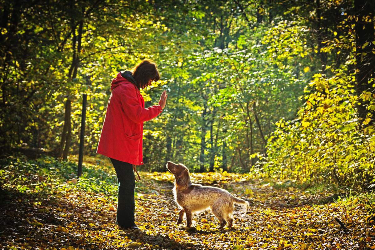 photo "***" tags: nature, misc., street, pets/farm animals, woman