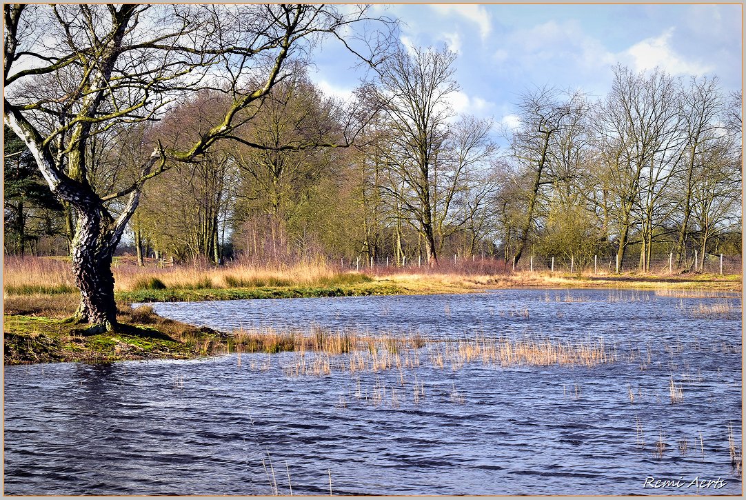 photo "***" tags: landscape, nature, 