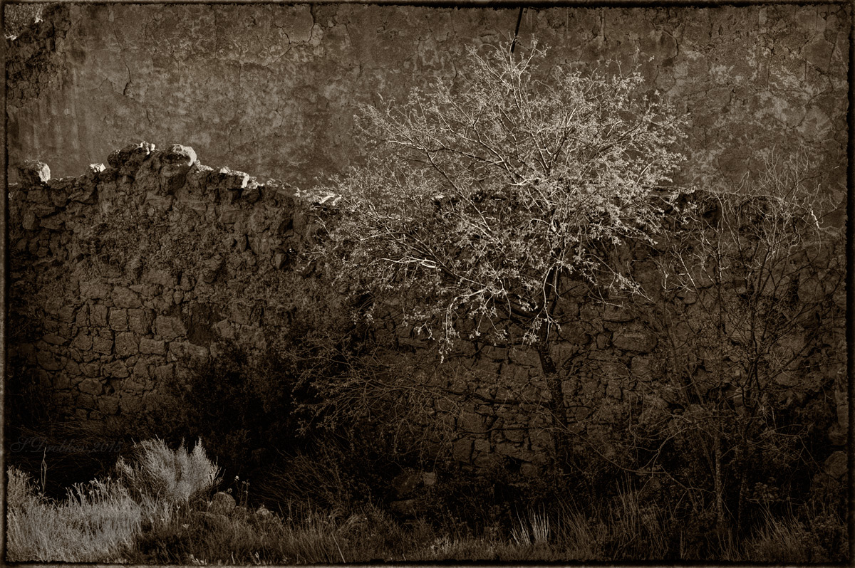 фото "Метаморфозы 9" метки: абстракция, черно-белые, Европа, весна