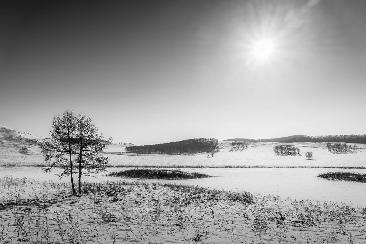 фото "Безмолвие." метки: , 