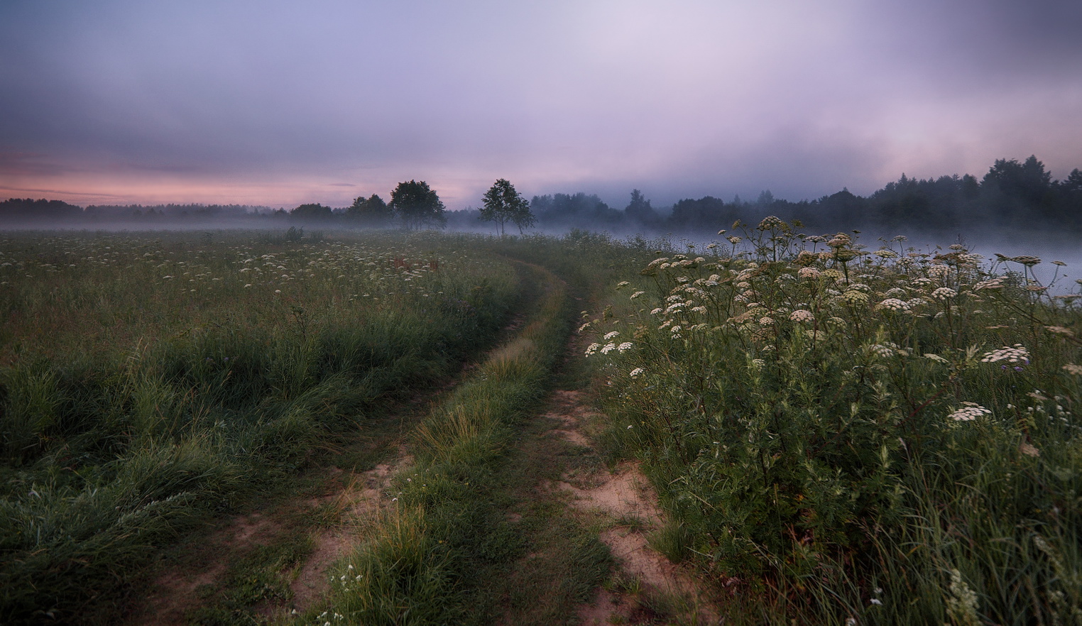 фото "Дорожка вдоль реки" метки: пейзаж, 