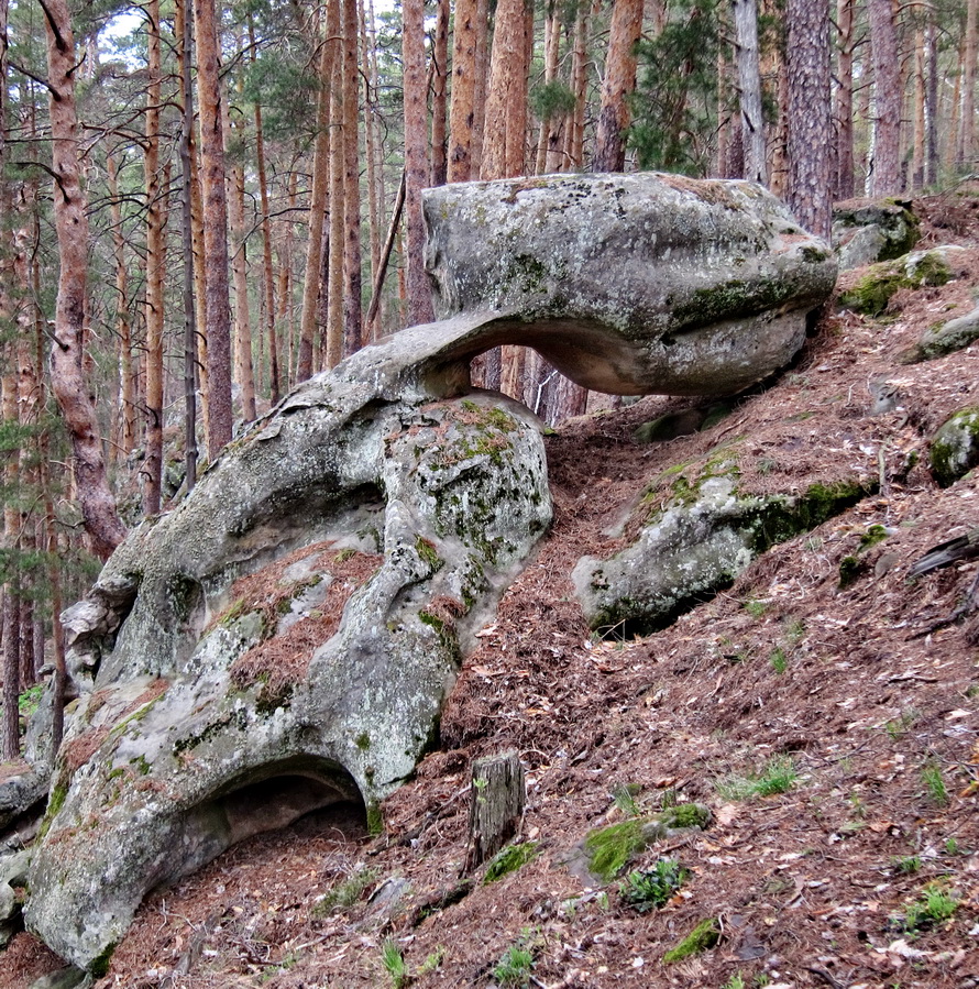 фото "Уставший птеродактель" метки: пейзаж, камни, лес