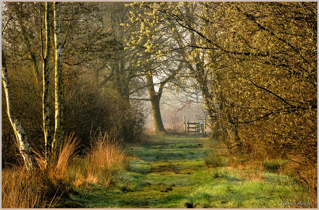 фото "***" метки: природа, пейзаж, 