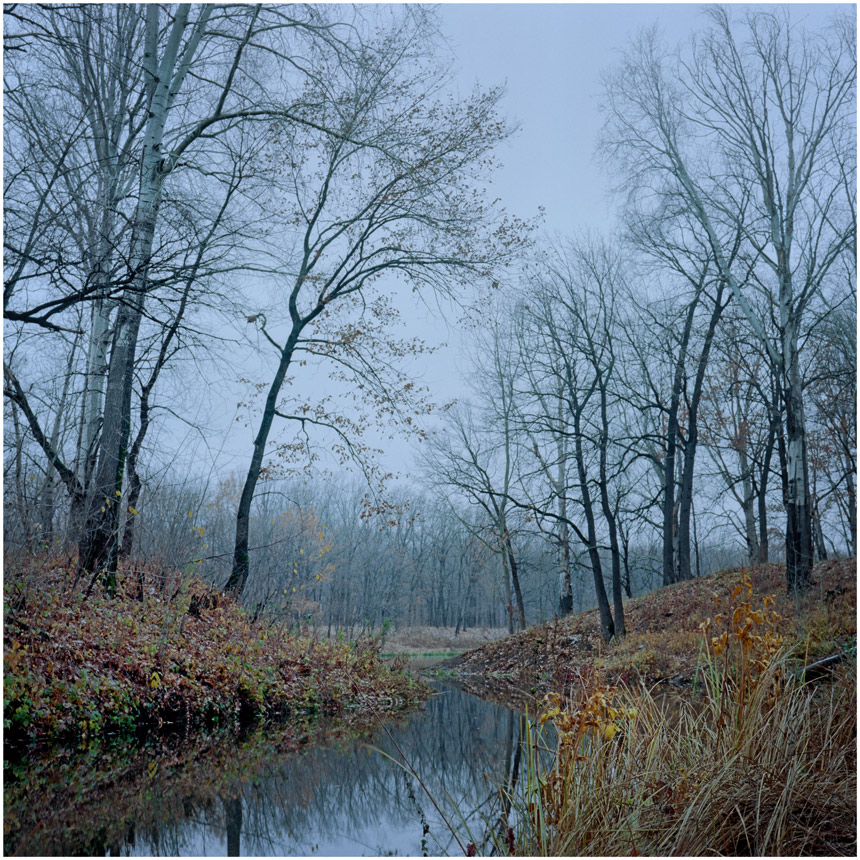 photo "***" tags: landscape, 120, 6x6, Kodak Ektar 100, TLR, Yashica Mat Em