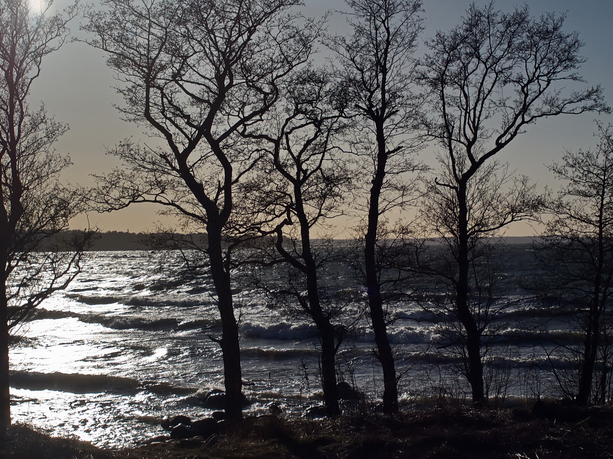 photo "Other beaches. 2" tags: landscape, travel, 