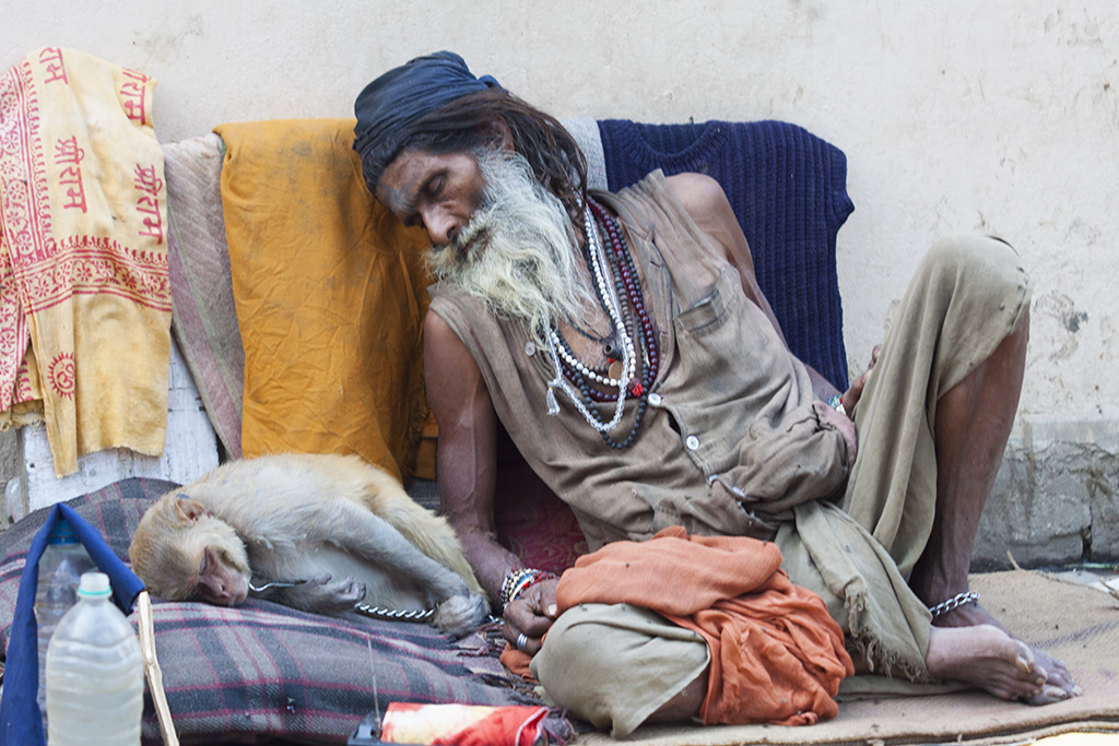 фото "Спящие в Варанаси" метки: жанр, репортаж, Варанаси, Ганг, индия, обезьяна, садху