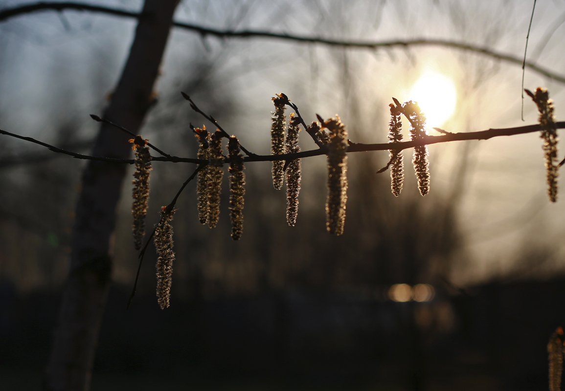 photo "***" tags: fragment, nature, 