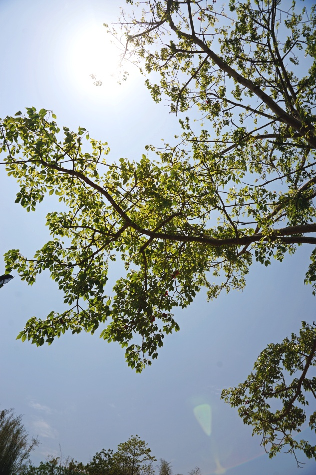 photo "green" tags: landscape, nature, street, Asia, clouds, forest, mountains, summer