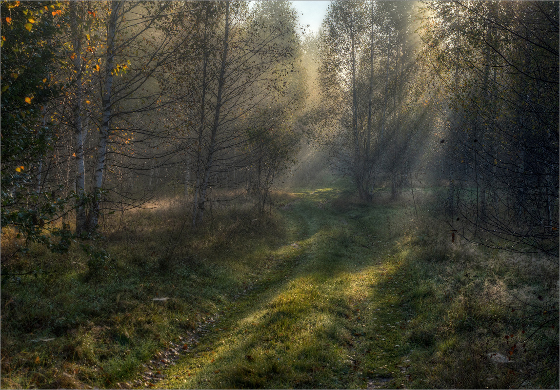 photo "***" tags: landscape, nature, 