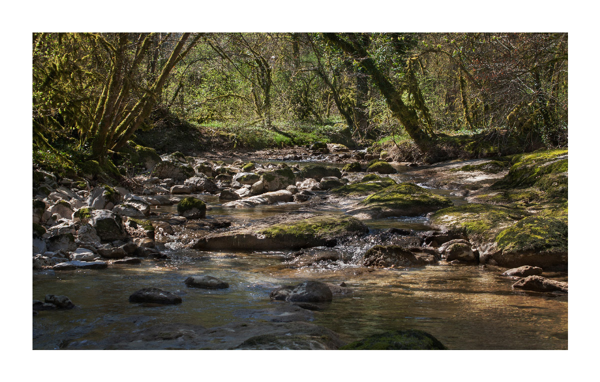 photo "Ruisseau" tags: nature, 