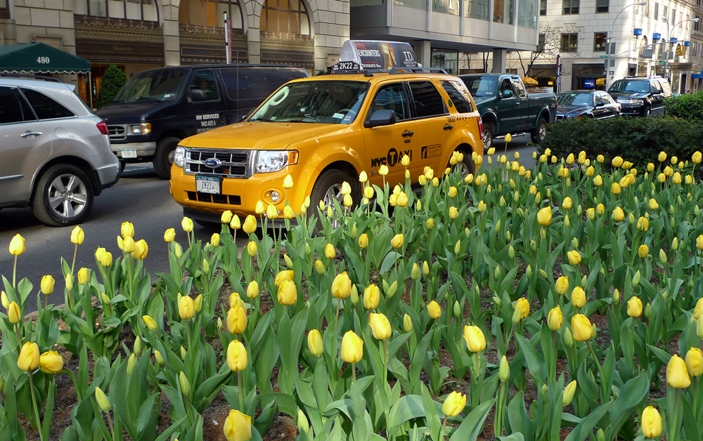 photo "***" tags: city, 